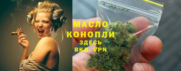 индика Краснотурьинск