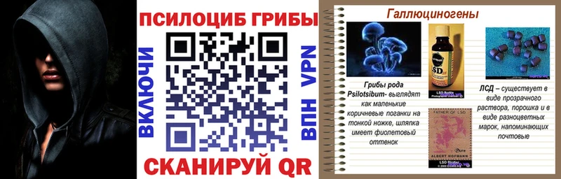 купить наркоту  маркетплейс официальный сайт  Псилоцибиновые грибы ЛСД  Мичуринск 