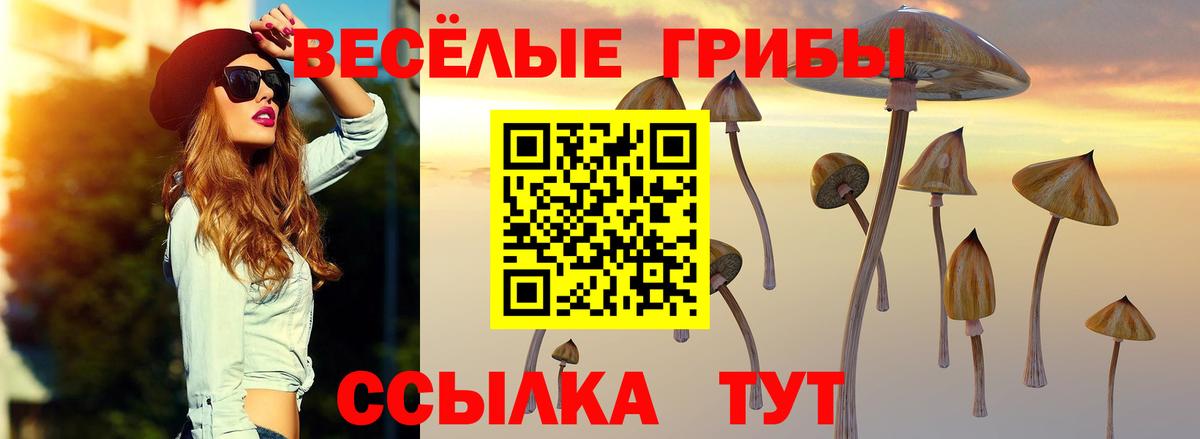 Галлюциногенные грибы ЛСД Мичуринск
